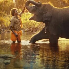 The Elephant Whisperers